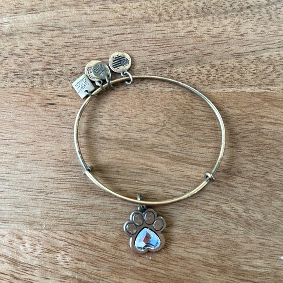 Alex and Ani charm bracelet - dog paw - Picture 1 of 2